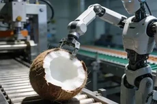 椰树集团招标50台人形机器人剥椰子，每小时处理超360个