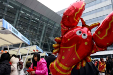 日经亚洲剖析“龙虾热”：中国AI普及何以领跑西方？