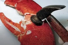 担心的事还是发生了，真有人给龙虾“投毒”