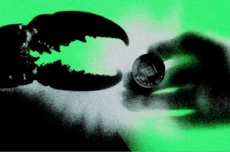 OpenClaw升级出漏子，微信到嘴的龙虾飞了