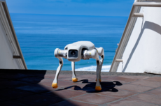 FF四足机器人通过美国销售合规认证 全年出货1000台？