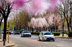 滴滴清明出行数据：全国打车需求同比上涨近15%，AI打车需求上涨86%