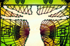 姚顺雨交出首张答卷，腾讯AI有了一个新底座