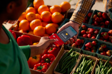 iPhone就是POS机，苹果Tap to Pay非接触式支付上线马来西亚