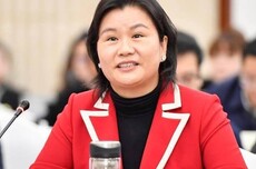 坐到马斯克和库克中间的湖南女人