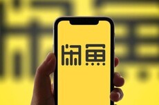 闲鱼换帅：丁健卸任法定代表人及经理，王程远接任