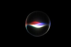 库克深情告别！Siri换脑重生，AI撑起苹果WWDC，中国市场：再等等