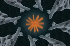 Anthropic刚说免费送Agent额度,结果2小时后就反悔了
