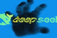 大扩军之后，DeepSeek怎么走