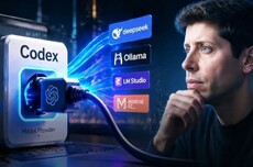 OpenAI“最开放”一次,Codex不再独宠GPT