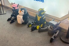 从翻跟头到24小时连轴转:我们在WAIC看到了机器人的班味