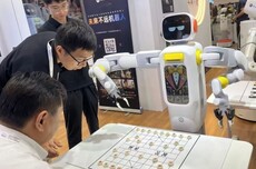 机器人进家:理想是“管家”,现实落地先陪娃