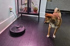 美国,封杀了中国扫地机