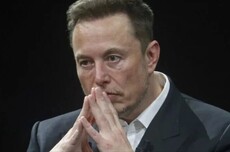 这次，马斯克都看不下去了