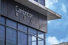 寒武纪:上半年暴赚23亿,下半年看交付