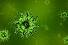 美国科学家首次用AI设计出病毒：用于感染细菌 不会对人类构成威胁