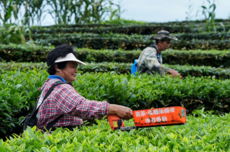 喜茶首创“茶特调”新品类，一年全球上新超30款