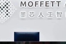 从单点技术到全栈生态,墨芯牵头组局,稀疏计算开始“组团突围”