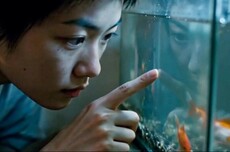 Seedance 2.5之后,AI视频进入Harness时代