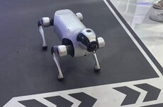 直击2026WRC:从展台到街头,机器狗进入“分赛道”时刻