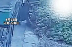 “影帝级”碰瓷 老人自己推车入沟、假吐血,监控揭穿300元骗局