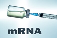 RNA疗法再迎突破!名古屋大学教授:新技术有望让药物作用时间更长