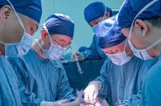 猪器官移植人体,获多项重大突破!中国科学家蹚出一条“救命路”