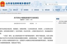在4大方面提出13条具体举措，山东发文深化小城镇创新提升