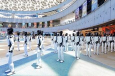 长隆抢跑全球首个具身智能主题乐园,游客会为机器人买单?