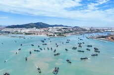 山东正式解除休渔期，鱼虾蟹类求购量大，海鲜电商：有多少收多少，不愁卖