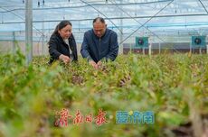 济南乡村产业的“富民”新解