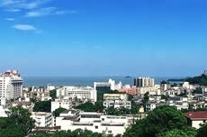 陈勇到珠海香洲调研：乘势而上，加快推动人工智能高水平赋能