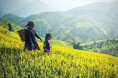 2026年中国农民丰收节金秋消费季启动，看点几何