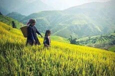 全国秋收临近，近期天气如何