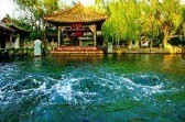 老舍笔下的诗境秋城，正生长出新的风华