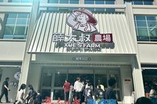 烟火、闲适与新意，济南消费场景的三个切面