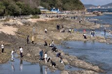 国庆假期烟台海滨“赶海热”，市民游客乐享“海洋宝藏”