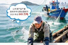 秋风赴齐鲁，山东喊你假期来寻“鲜”