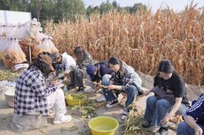 守齐鲁粮仓，青春何以接力？