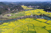以青春赴沃野，以强农报家国