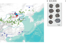 我国科学家揭示中国北方早期粟作人群的本地起源