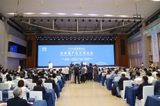 世界遗产与文明对话！2026景德镇论坛启幕，25国嘉宾共赴文明之约