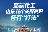 高端化工，山东16个关键赛道各有“打法”