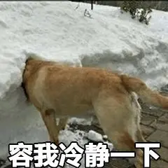 本想跟帅哥视频战狼聊，居然旁人痛打操作方式后…–星晚资源网抖音视频素材库-高清正版无水印图片文案下载-星晚资源网自媒体技巧1