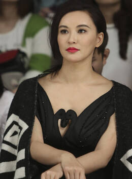 黄海波旧爱莫小棋着低胸装看秀