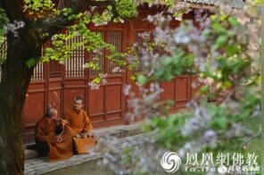 鼠年说鼠：鼠与佛教也是“缘分不浅”！