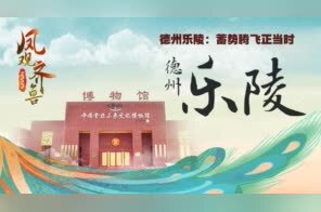 ​凤观齐鲁2020丨德州乐陵：蓄势腾飞正当时