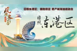 凤观齐鲁2020丨日照东港区：拥抱蔚蓝 港产城海加速融合
