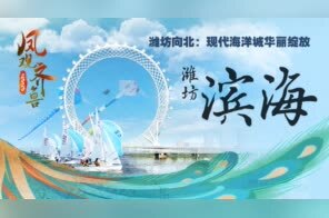 凤观齐鲁2020丨潍坊向北：现代海洋城华丽绽放