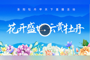 直播：花开盛世 云赏牡丹